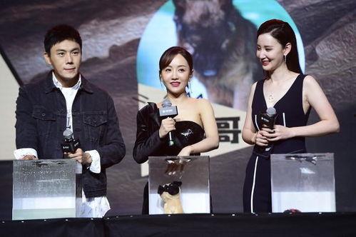 娱乐圈吃瓜事件团体排名