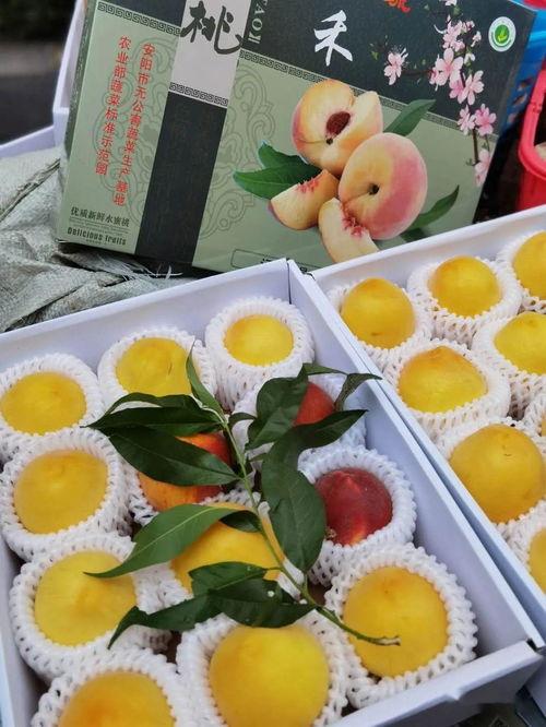 娱乐吃瓜酱爆瓜